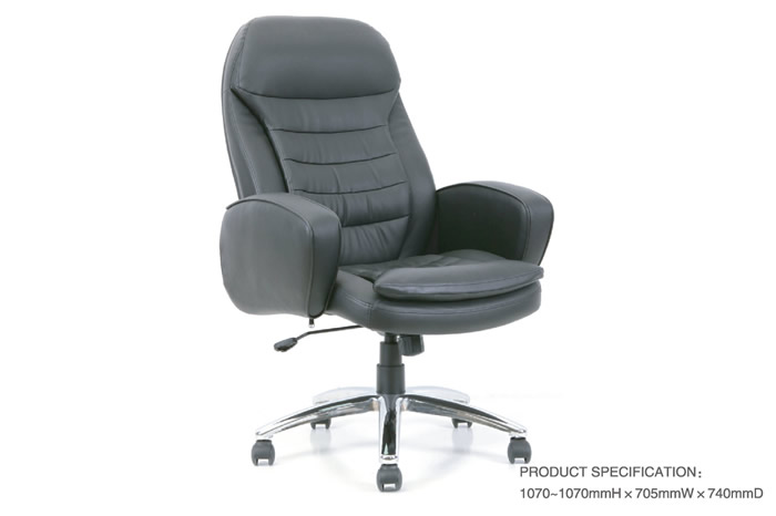 MODEL:10900-01 