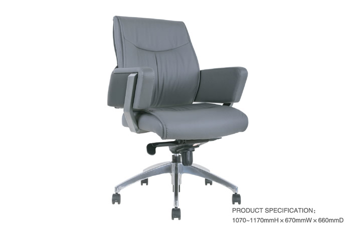 MODEL:11223-021