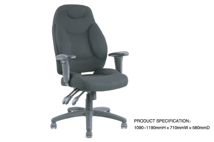 MODEL:10365-01M